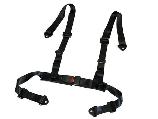 4 Point Fitting Seat Belt Harness